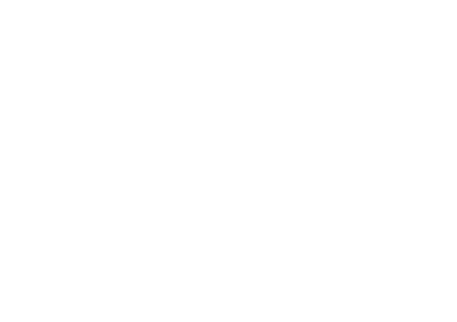 Google Partner